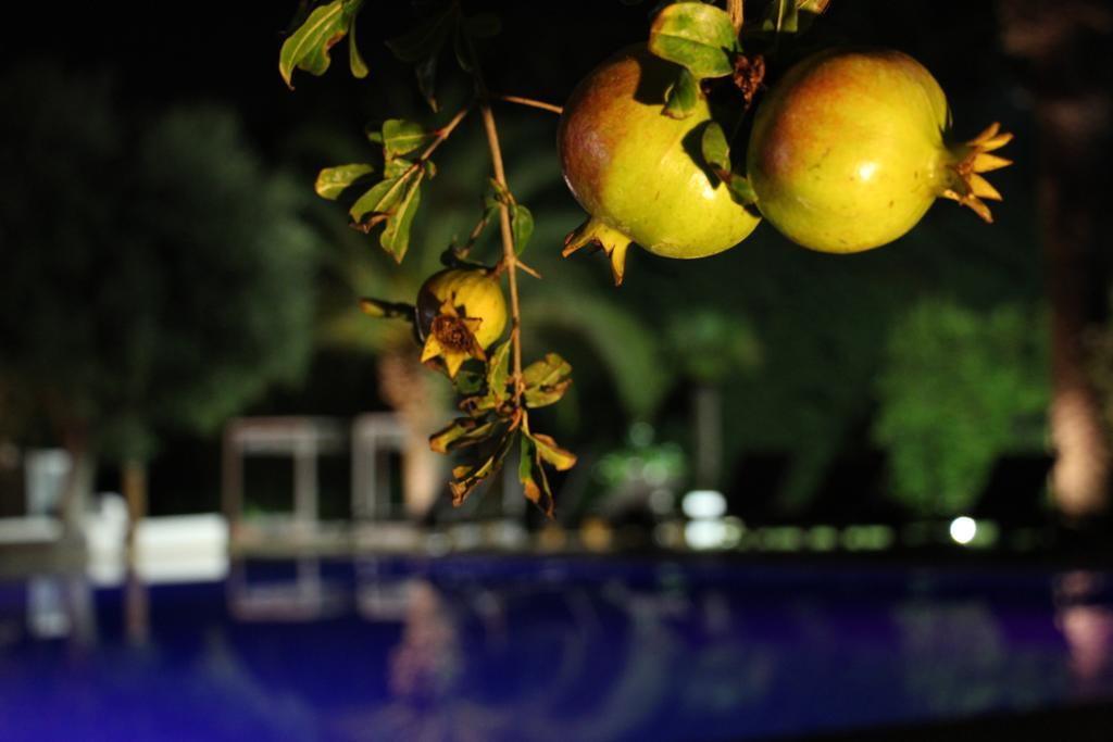 Hotel Terranobile Metaresort Μπάρι Εξωτερικό φωτογραφία